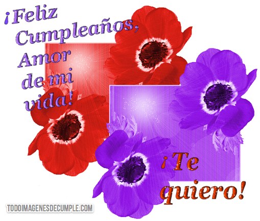 imagenes de feliz cumpleaños amor